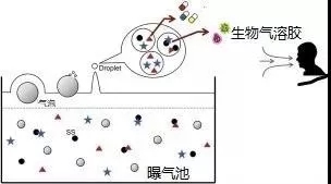 污水廠內的生物氣溶膠怎么產生,污水從業人員如何做好防護?- 污水廠內的生物氣溶膠怎么產生,污水從業人員如何做好防護?-
