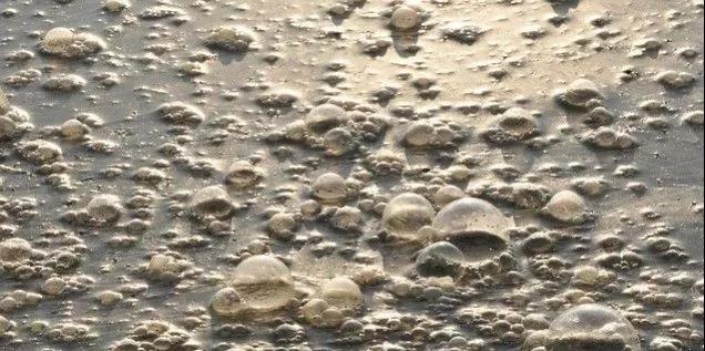 污水廠內(nèi)的生物氣溶膠,污水從業(yè)人員必讀- 污水廠內(nèi)的生物氣溶膠,污水從業(yè)人員必讀-