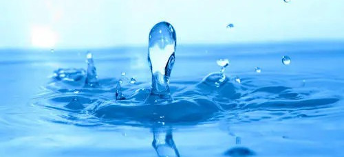 碳中和也內卷？歐洲啤酒巨頭將用污水釀酒