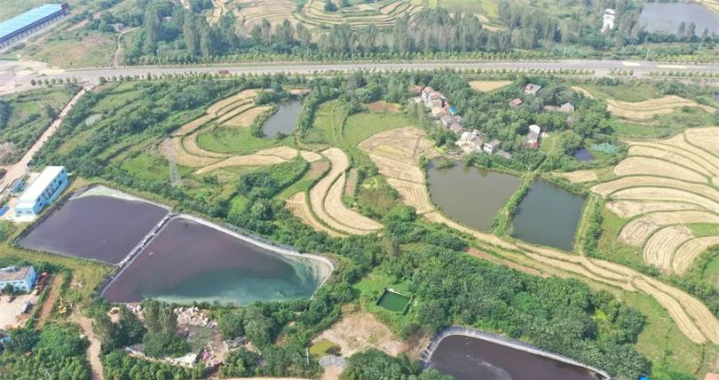 垃圾滲濾液巨量積存 環境污染隱患突出！