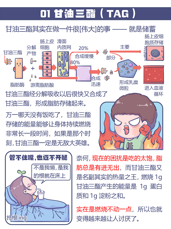 重磅!2023年度中國泵業市場銷售排行榜- 重磅!2023年度中國泵業市場銷售排行榜-