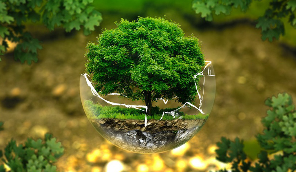 中國(guó)水環(huán)境集團(tuán)：綠色低碳技術(shù)驅(qū)動(dòng)水務(wù)價(jià)值重構(gòu)